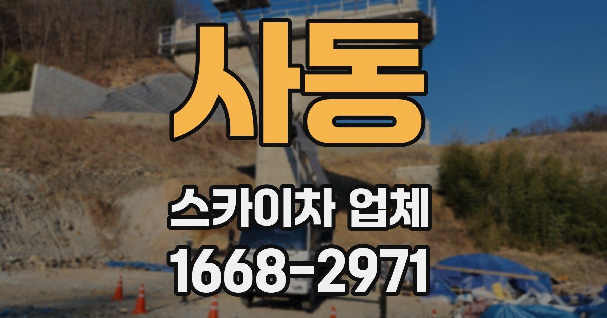 사동 스카이차 업체