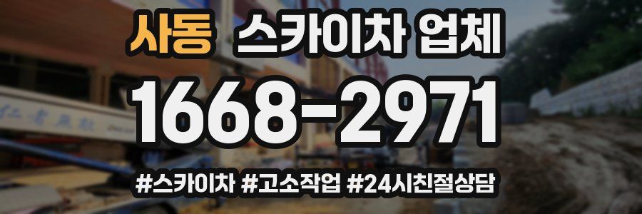 사동 스카이차 업체