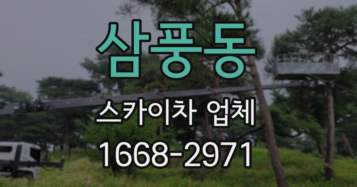 삼풍동 스카이차 업체