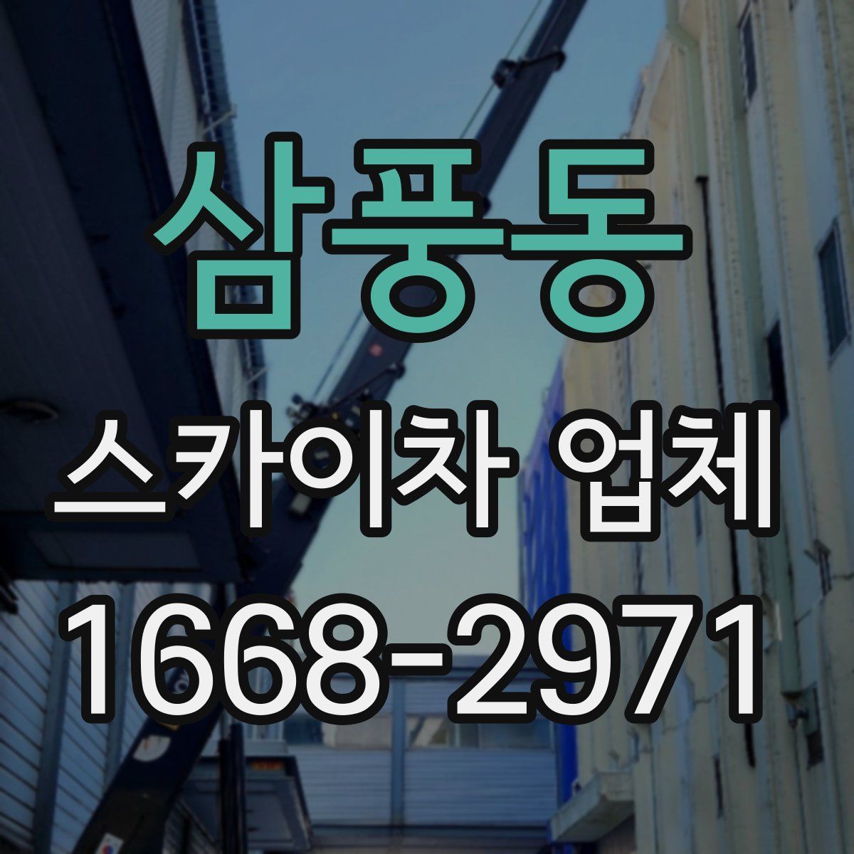 삼풍동 스카이차 업체