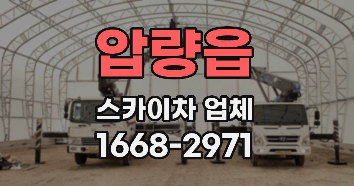 압량읍 스카이차 업체