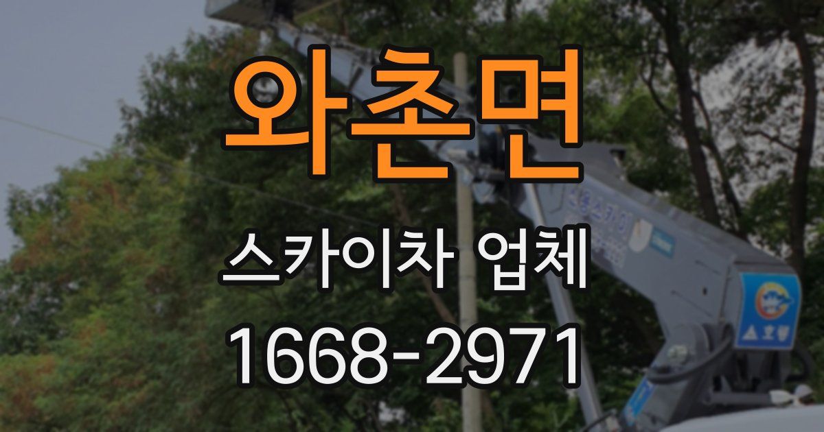 와촌면 스카이차 업체