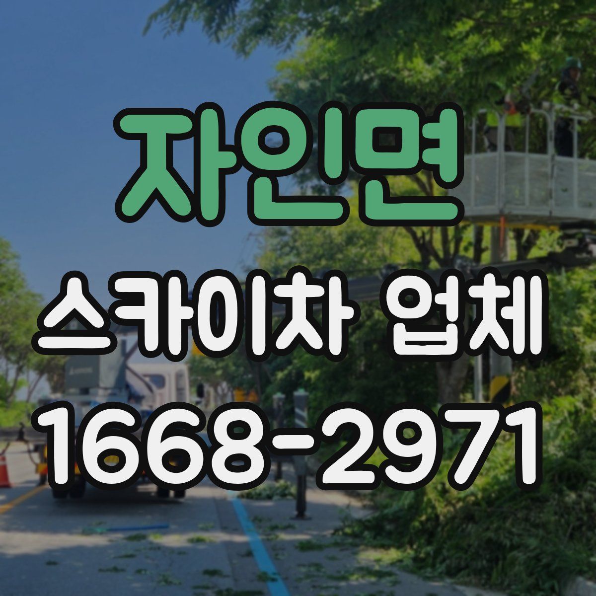 자인면 스카이차 업체