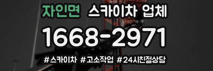 자인면 스카이차 업체