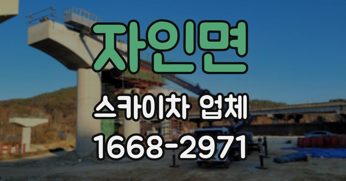자인면 스카이차 업체
