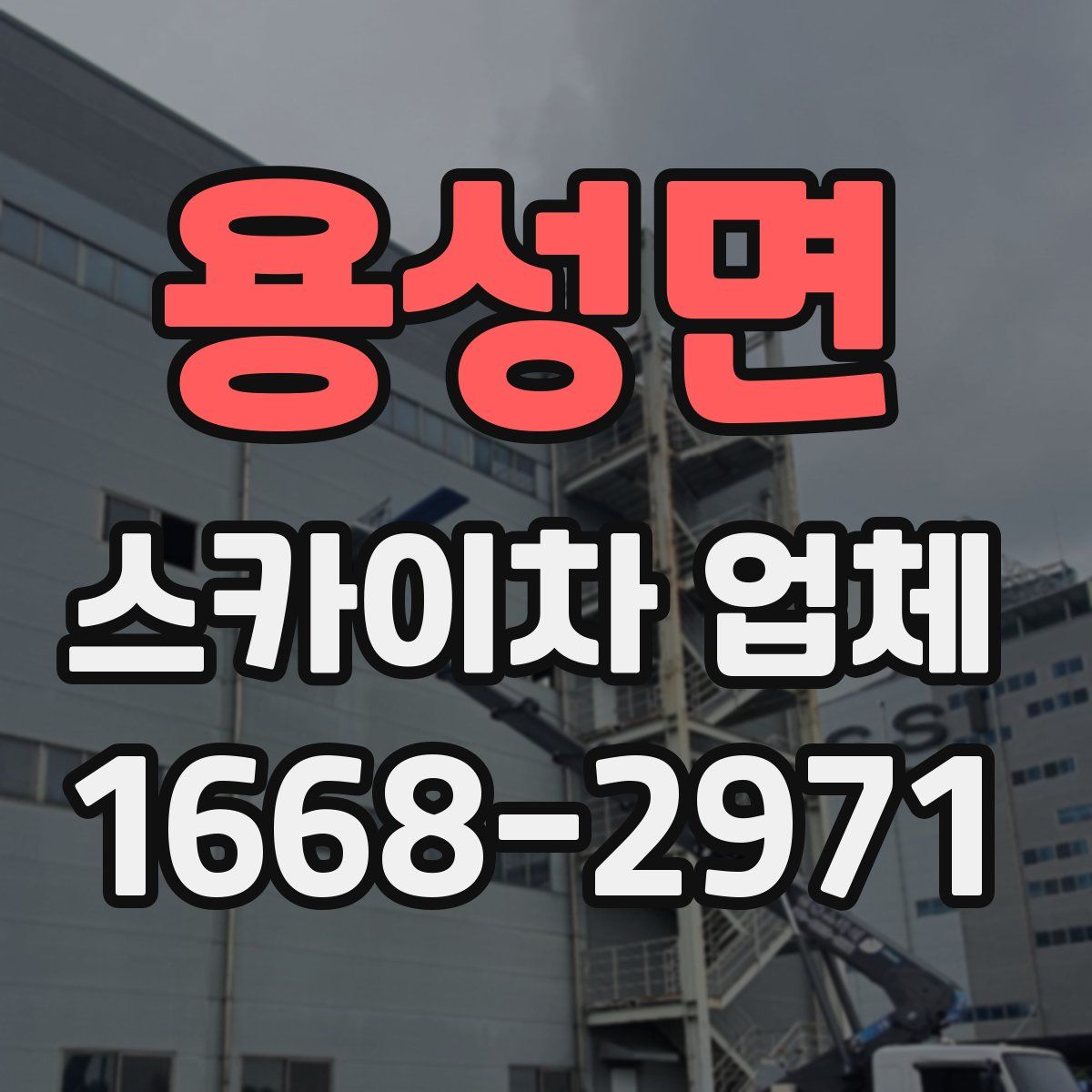 용성면 스카이차 업체