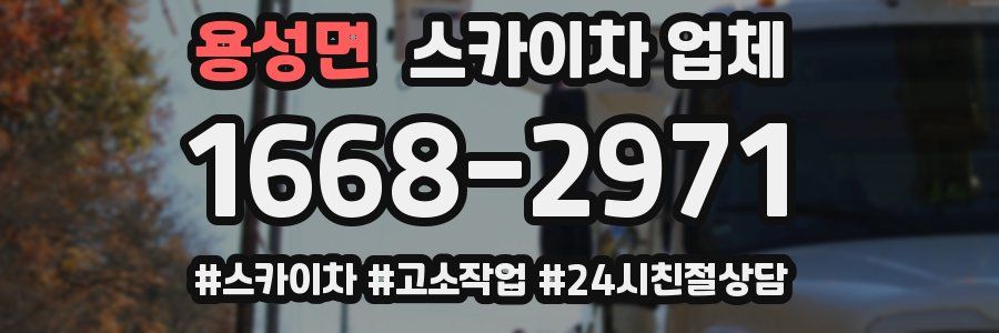용성면 스카이차 업체