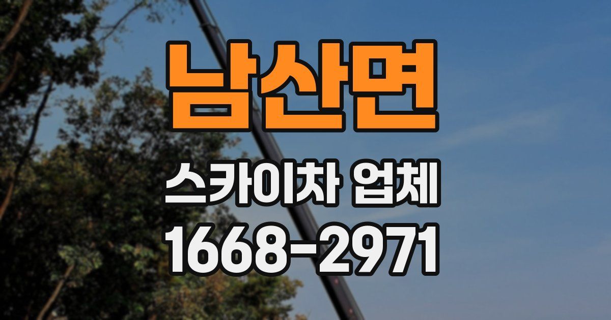 남산면 스카이차 업체