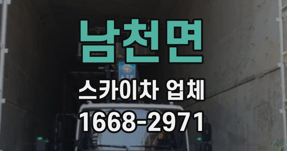 남천면 스카이차 업체
