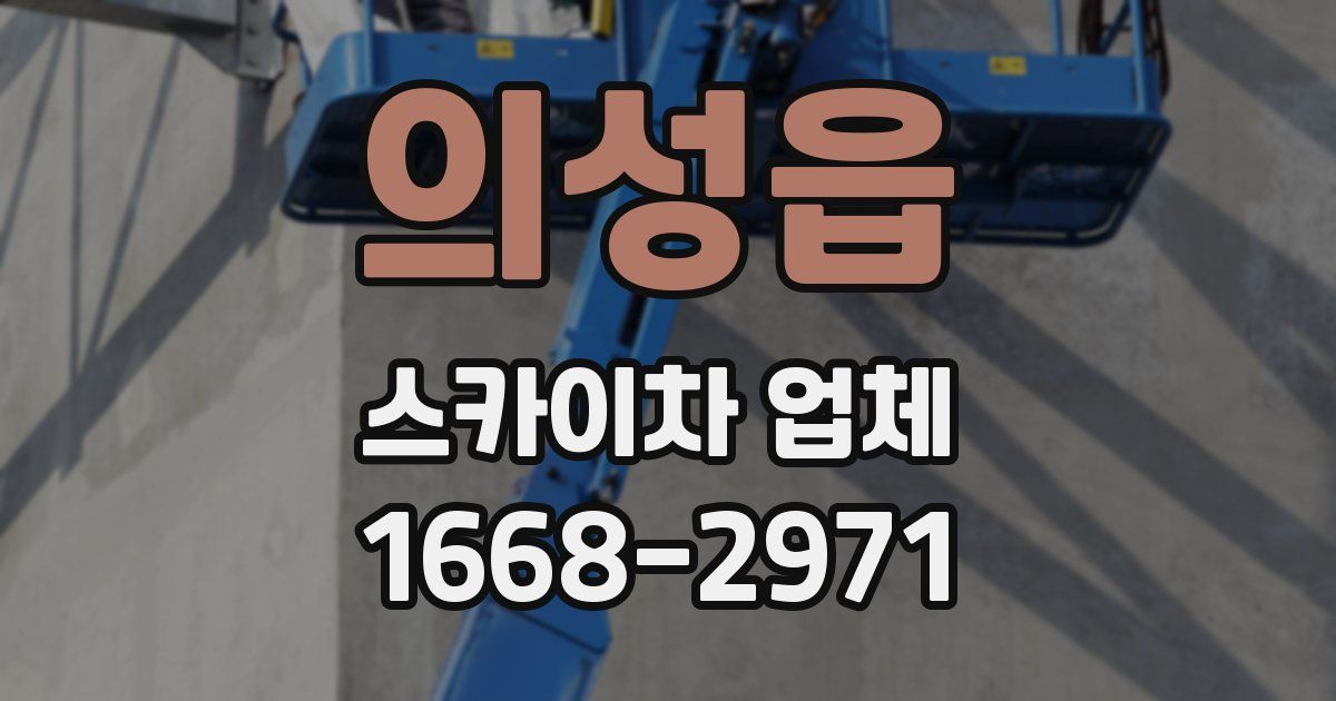 의성읍 스카이차 업체