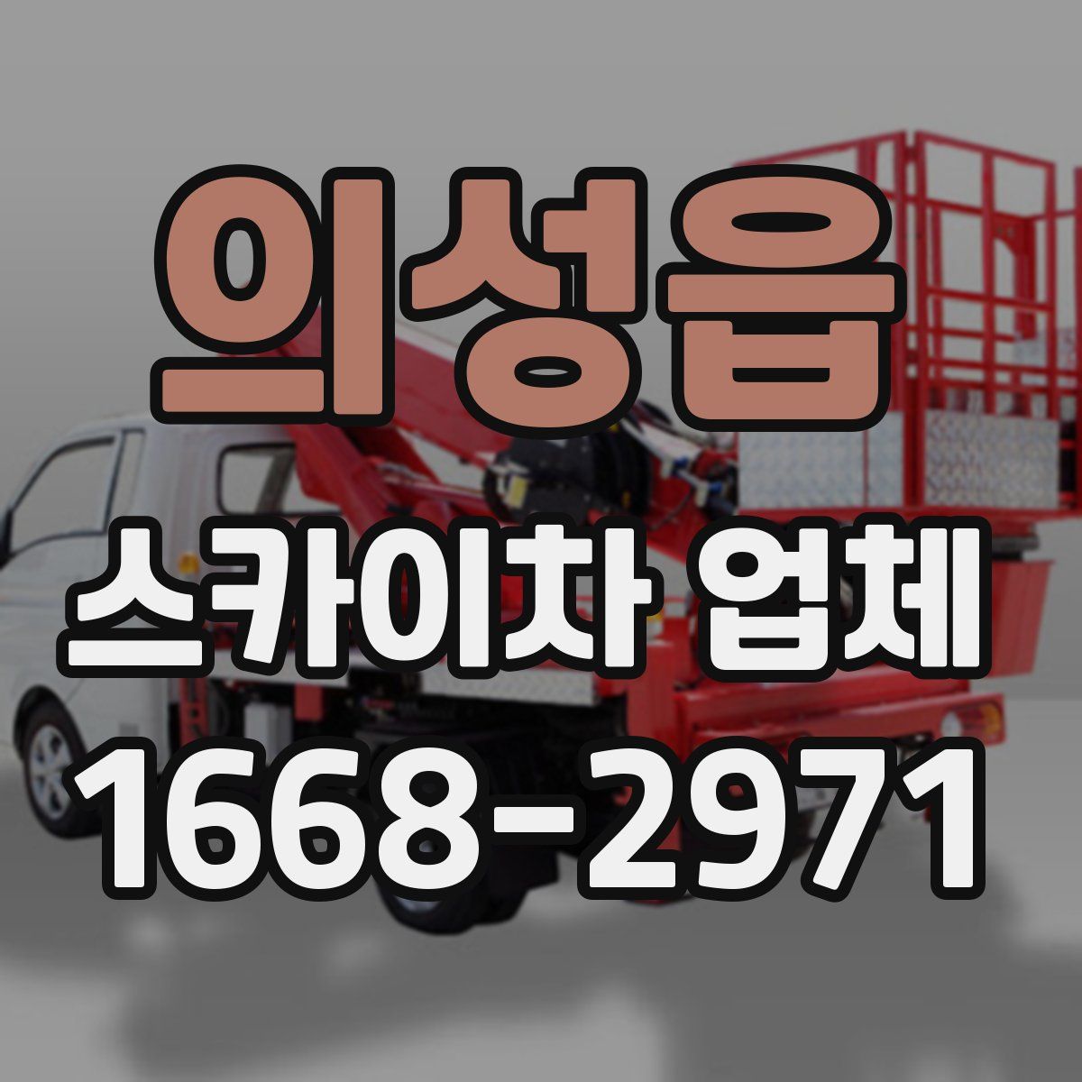 의성읍 스카이차 업체