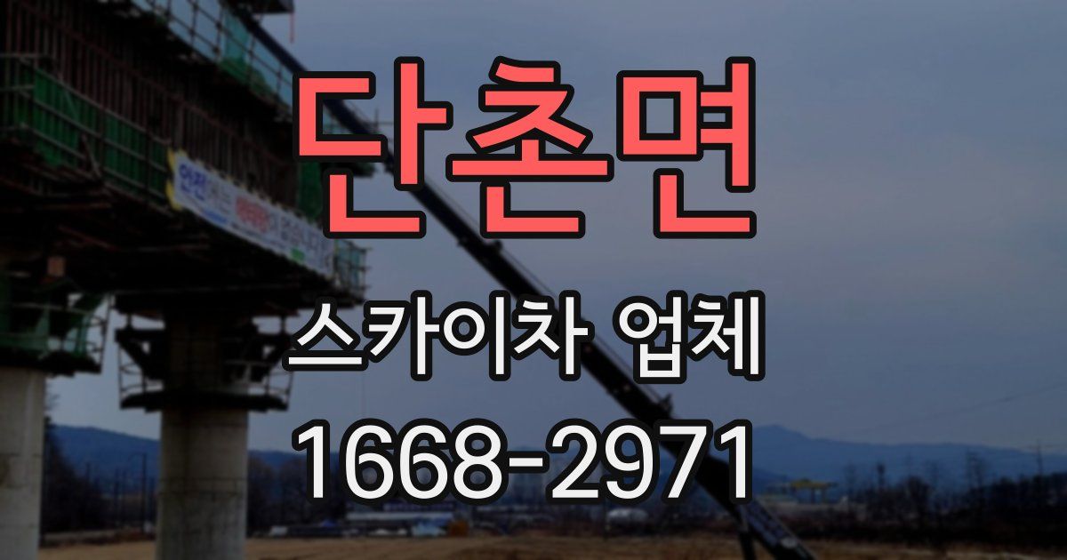 단촌면 스카이차 업체