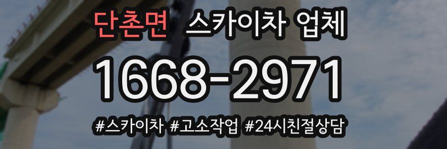 단촌면 스카이차 업체