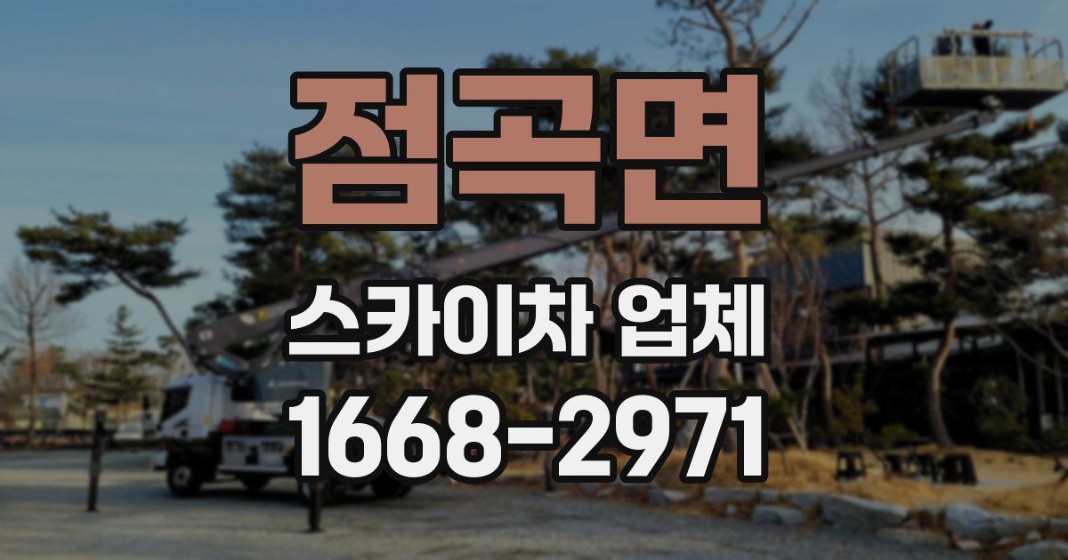점곡면 스카이차 업체