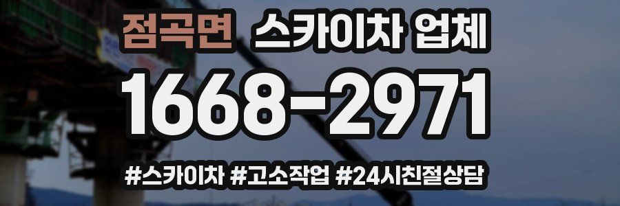 점곡면 스카이차 업체