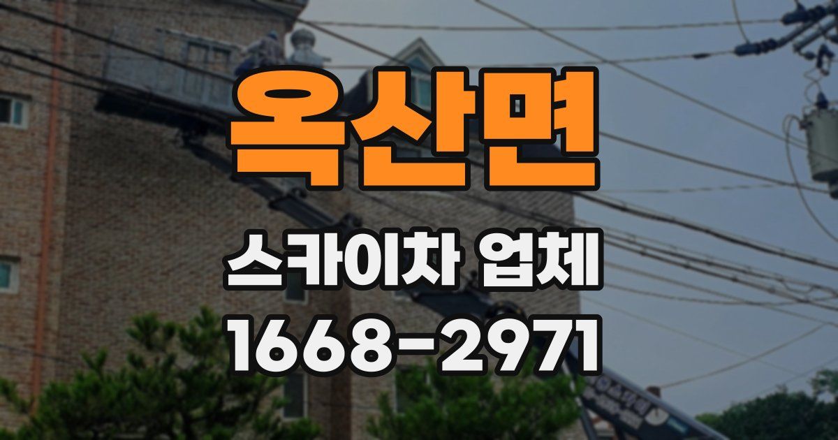 옥산면 스카이차 업체