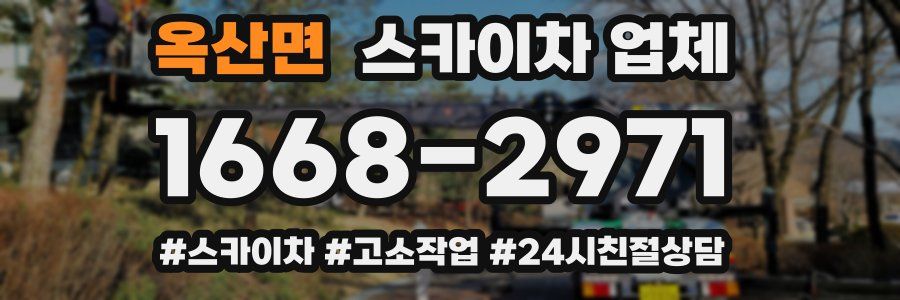 옥산면 스카이차 업체