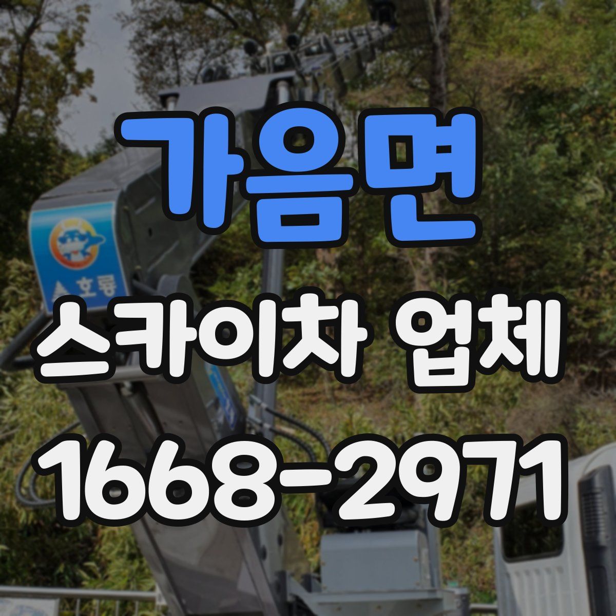 가음면 스카이차 업체