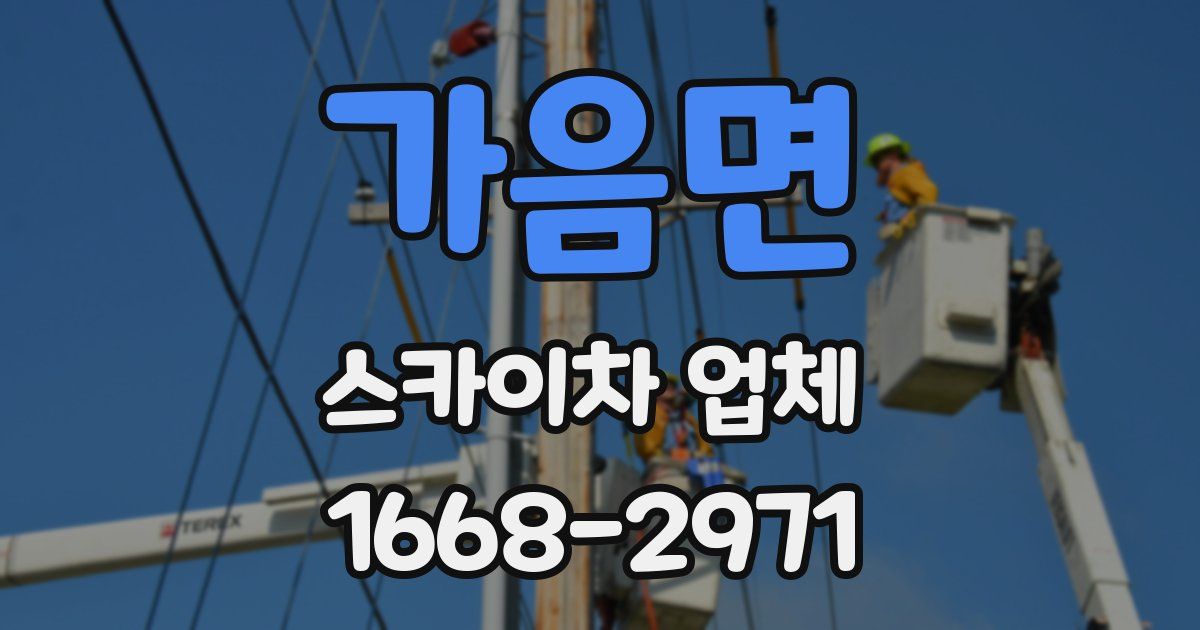 가음면 스카이차 업체
