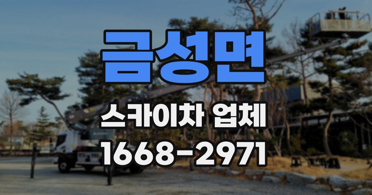 금성면 스카이차 업체