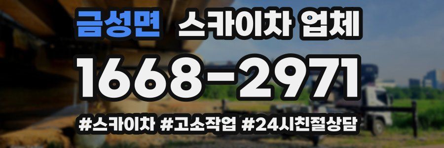 금성면 스카이차 업체