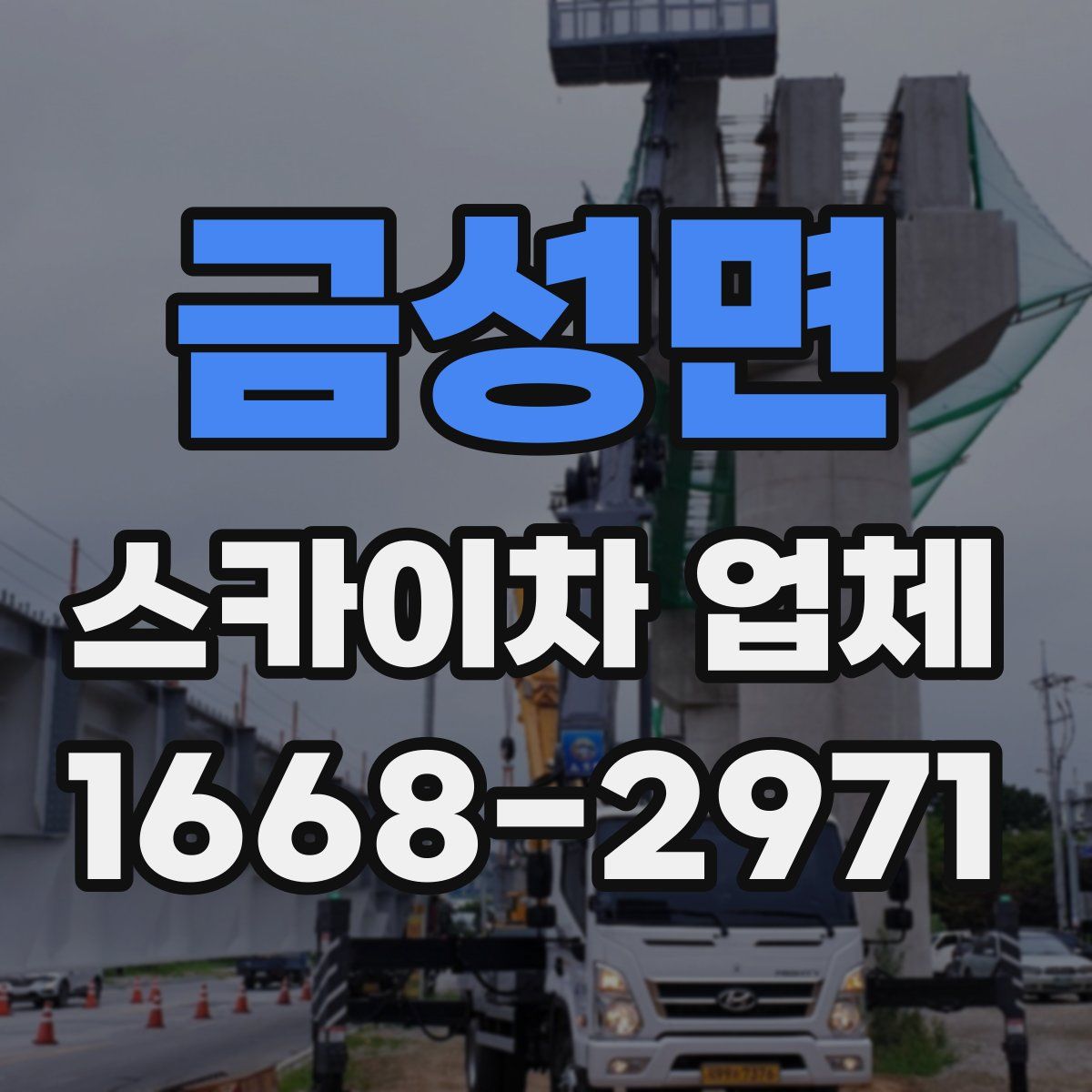 금성면 스카이차 업체