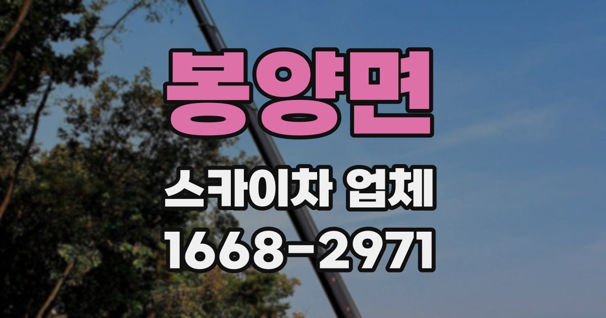 봉양면 스카이차 업체