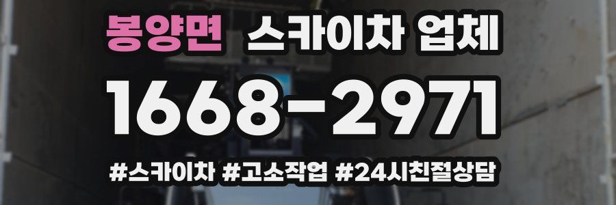 봉양면 스카이차 업체