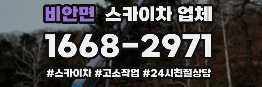 비안면 스카이차 업체