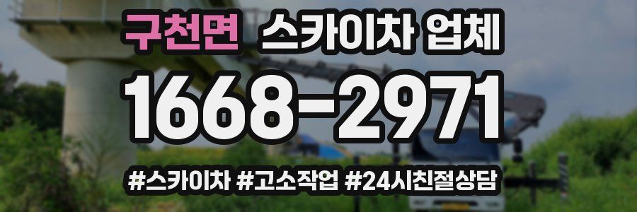 구천면 스카이차 업체