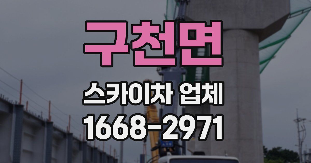 구천면 스카이차 업체