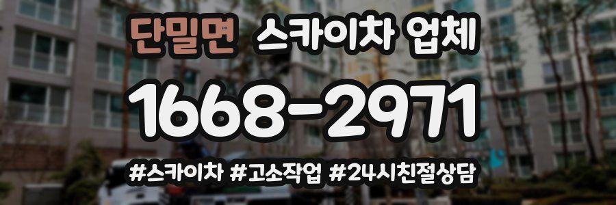 단밀면 스카이차 업체