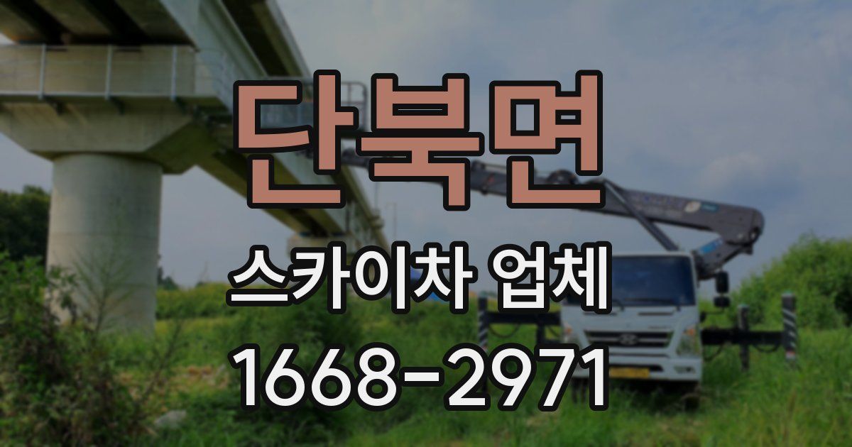 단북면 스카이차 업체