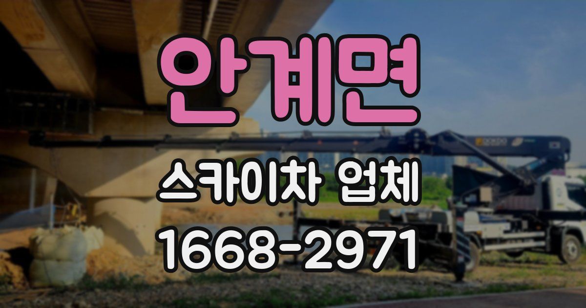 안계면 스카이차 업체