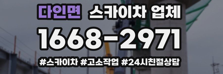 다인면 스카이차 업체