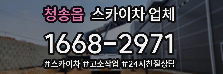청송읍 스카이차 업체