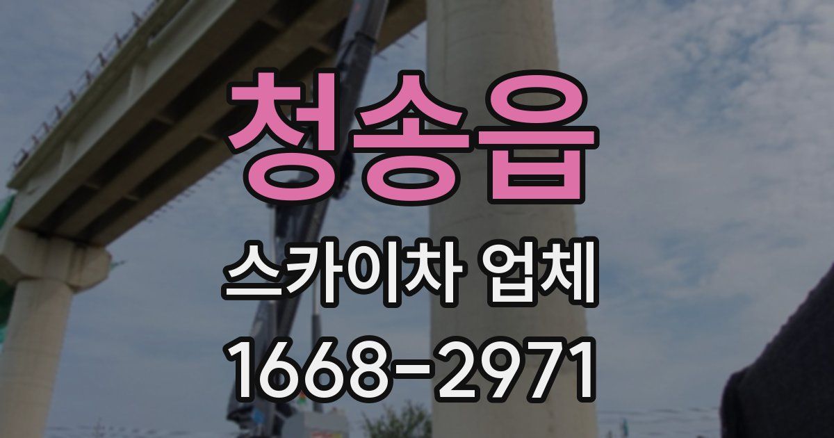 청송읍 스카이차 업체