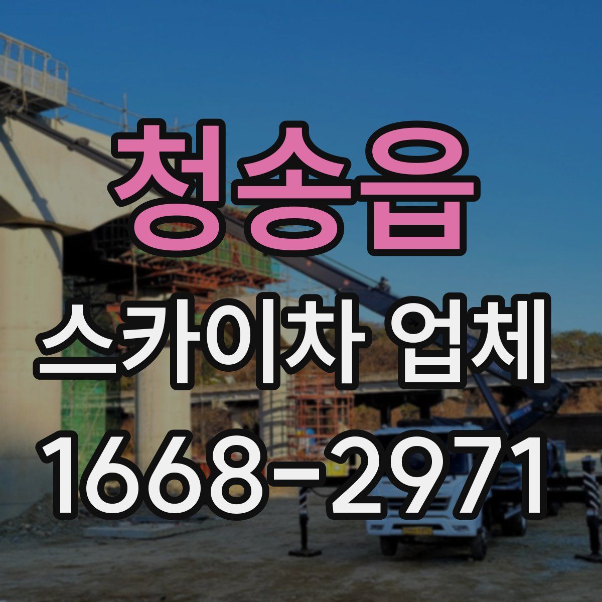 청송읍 스카이차 업체