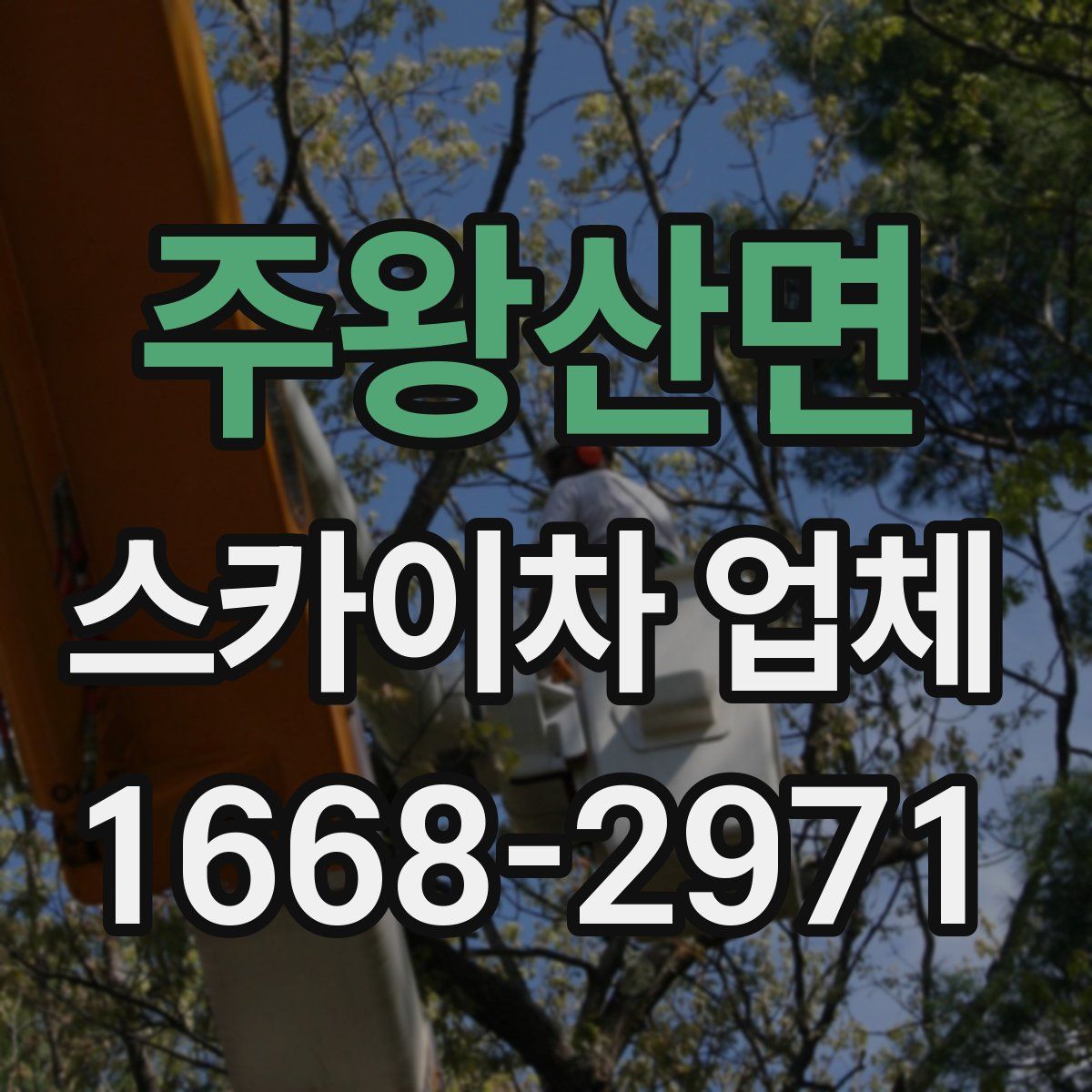 주왕산면 스카이차 업체
