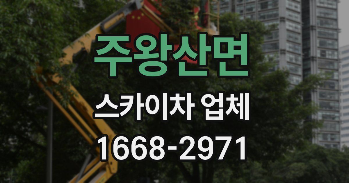 주왕산면 스카이차 업체