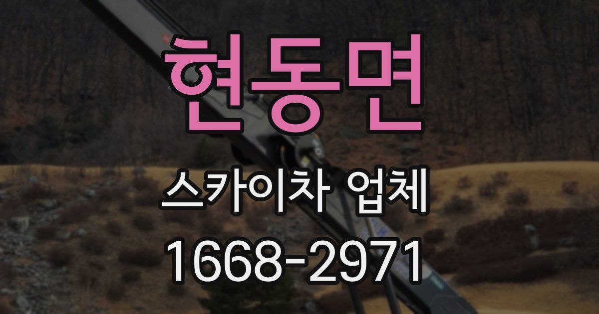 현동면 스카이차 업체