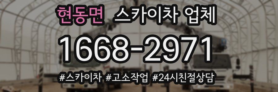 현동면 스카이차 업체