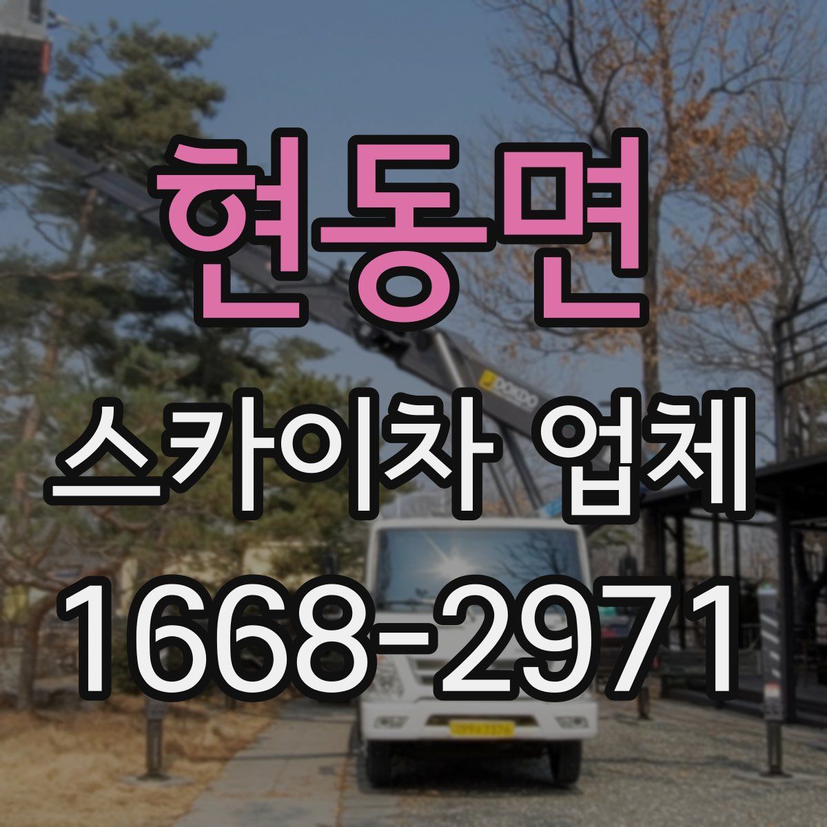 현동면 스카이차 업체