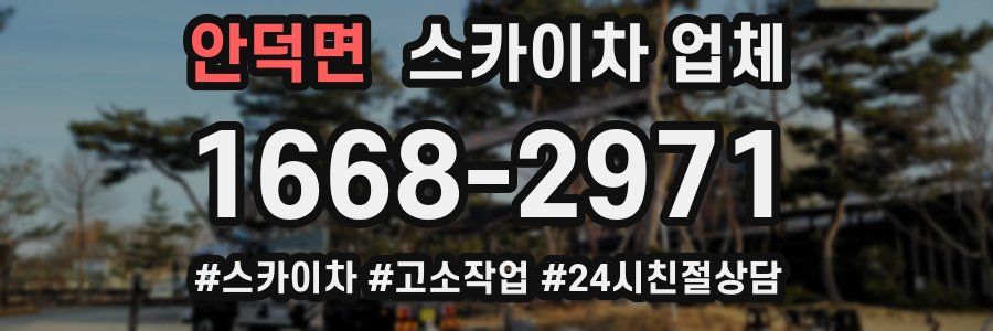 안덕면 스카이차 업체