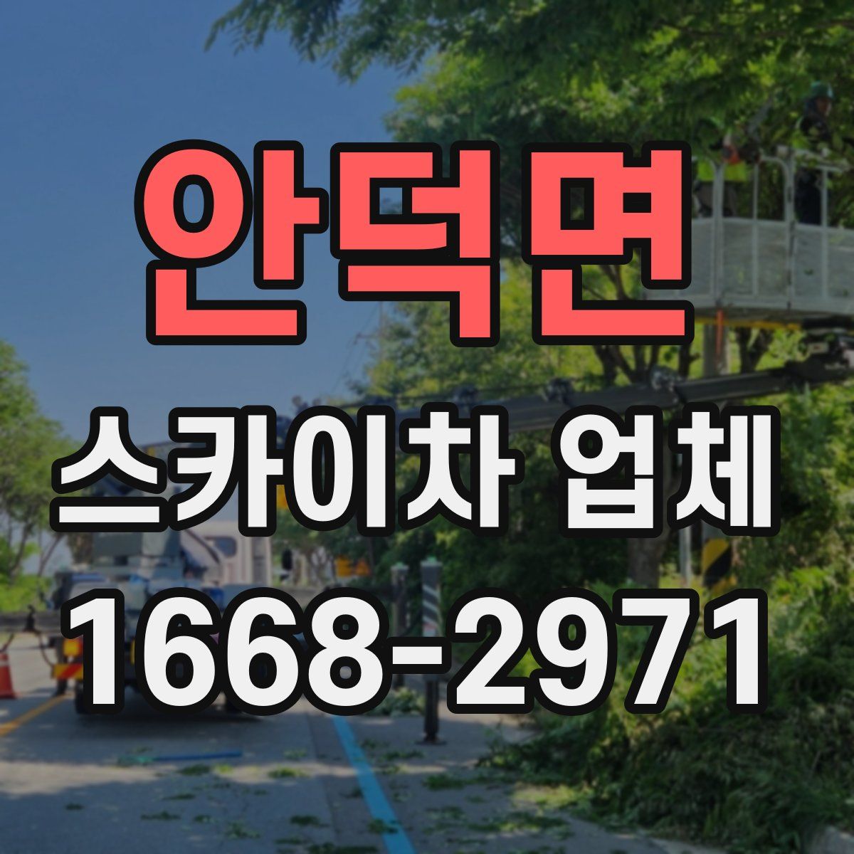 안덕면 스카이차 업체