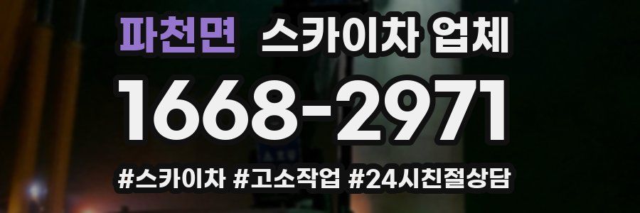 파천면 스카이차 업체