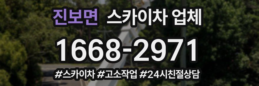 진보면 스카이차 업체
