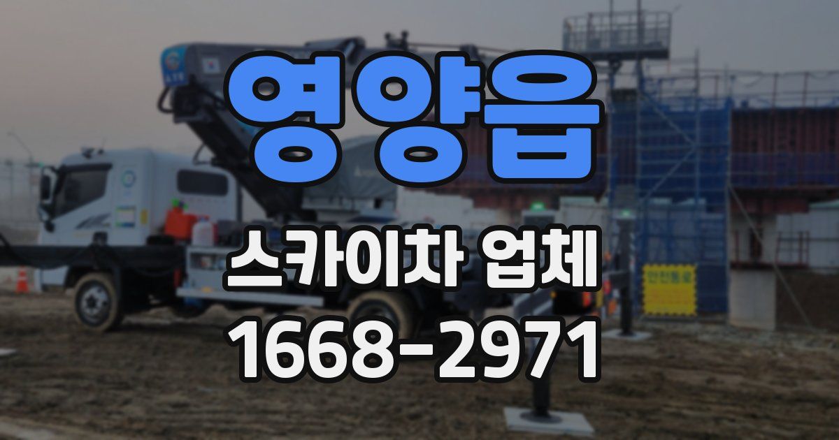 영양읍 스카이차 업체