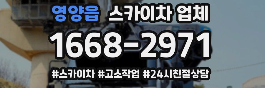 영양읍 스카이차 업체