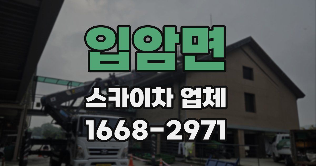 입암면 스카이차 업체